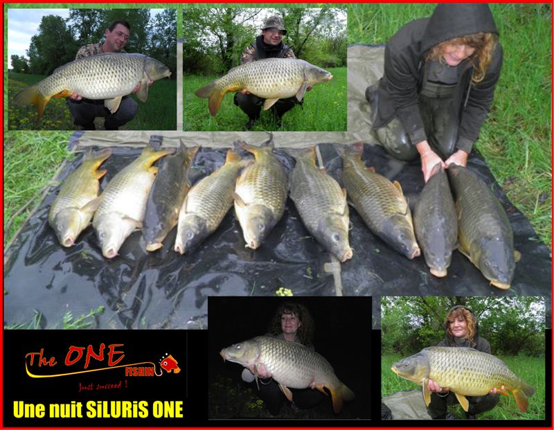 15 runs pour 13 fish en un nuit !