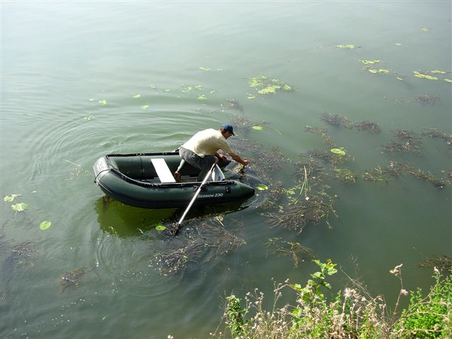 dtanker un poisson en bateau