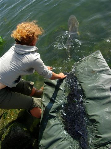 L'emploi du tapis est plus scurisant pour un remise  l'eau...