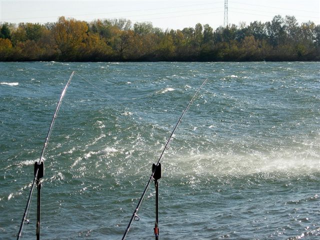 grand vent sur le Rhne