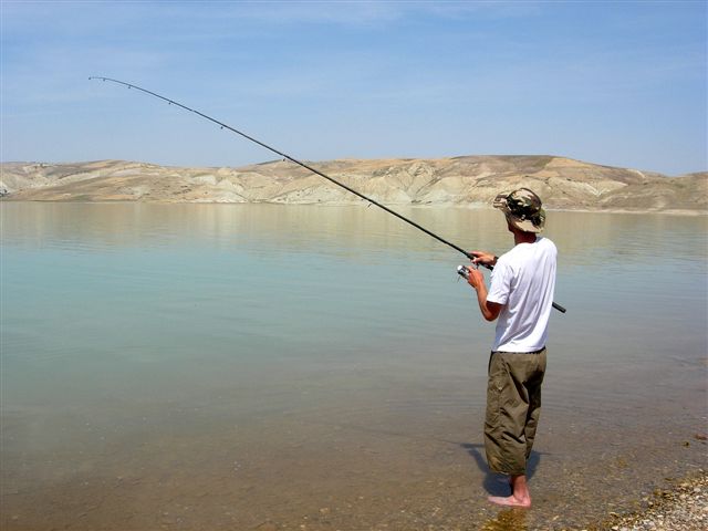 ramener des dizaines de carpes par jour