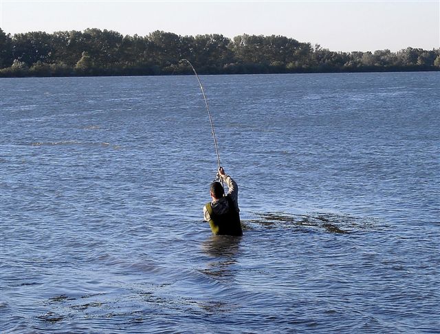 Allez au poisson quand vous le pouvez losqu'il est en bordure...