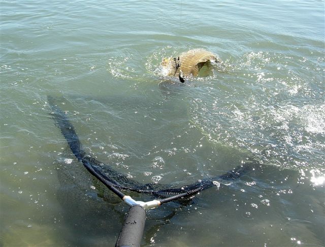 Certains environnements peuvent obliger  aller chercher le poisson avec l'puisette...