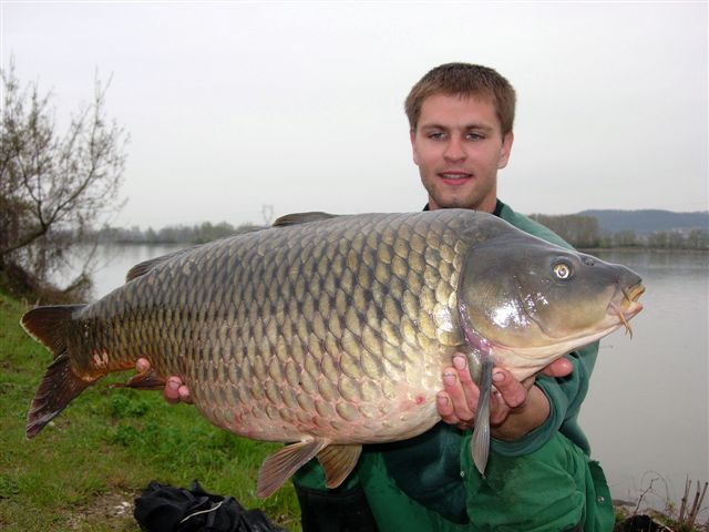 Bouillette Chenevis