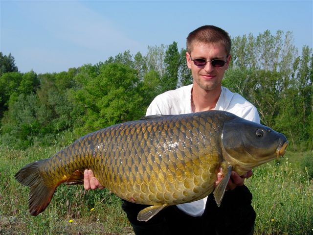 Bouillette chenevis