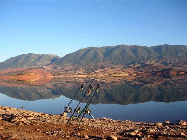 BEO Perle du Maroc