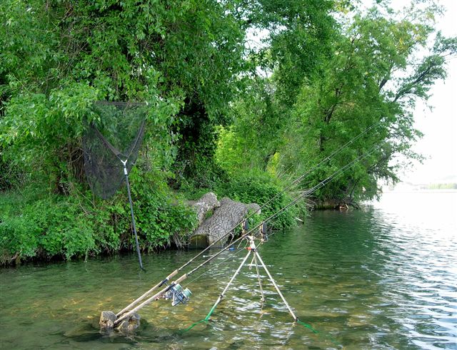 Retour sur une tenue hivernale, un mois aprs, les fishs taient revenus...