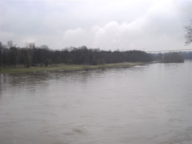 Le Rhne en crue  + de 2500m3/s, une bonne chose pour la suite...