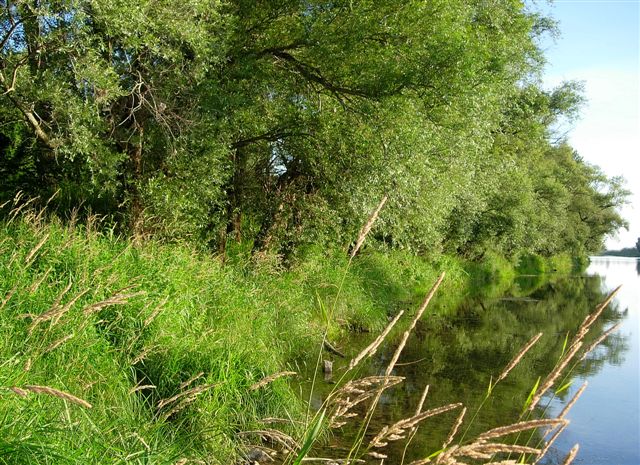 Une nature reverdie en juin !