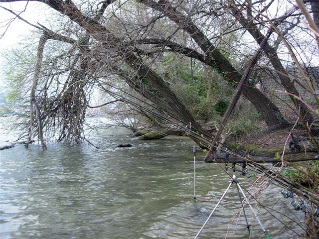 Le P8, les pieds dans l'eau