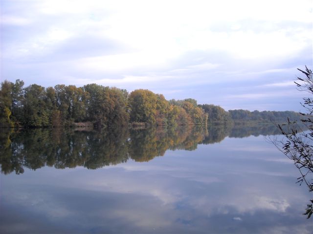 Vieux Rhne sauvage et mystrieux.