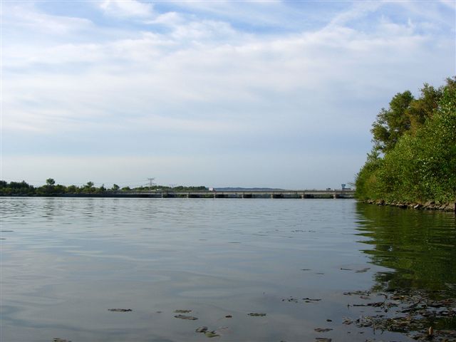 Le poisson est prs du barrage...