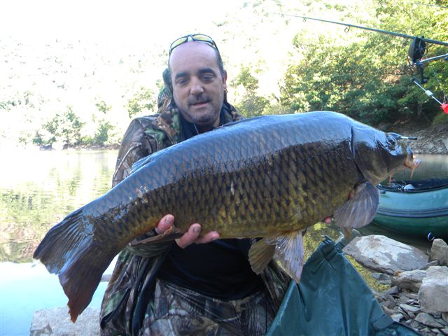 Cliquez pour voir les carpes de 2011 !