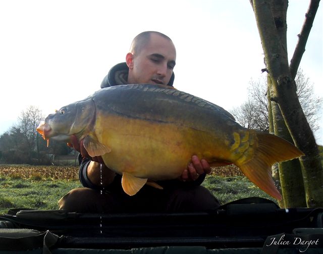 Le dernier fish en YELLOW 14mm de 2012...