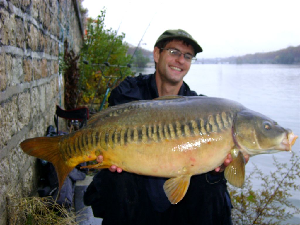 Splendide linaire pour The Fully's man  la nouvelle bouillette chenevis ...