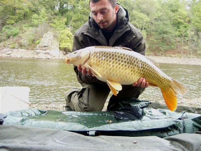 Sbastien  la YELLOW Fruit