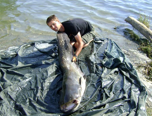 165cm dans le sud de la valle du Rhne