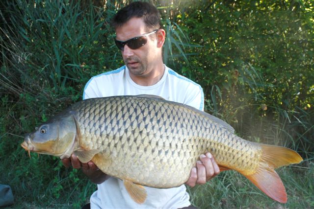 David en FANTASM Boilies 20mm !