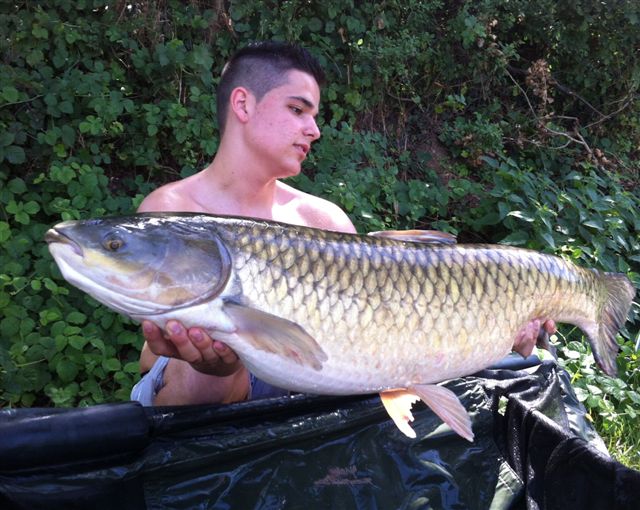 Romain en mode WHITE M&C !