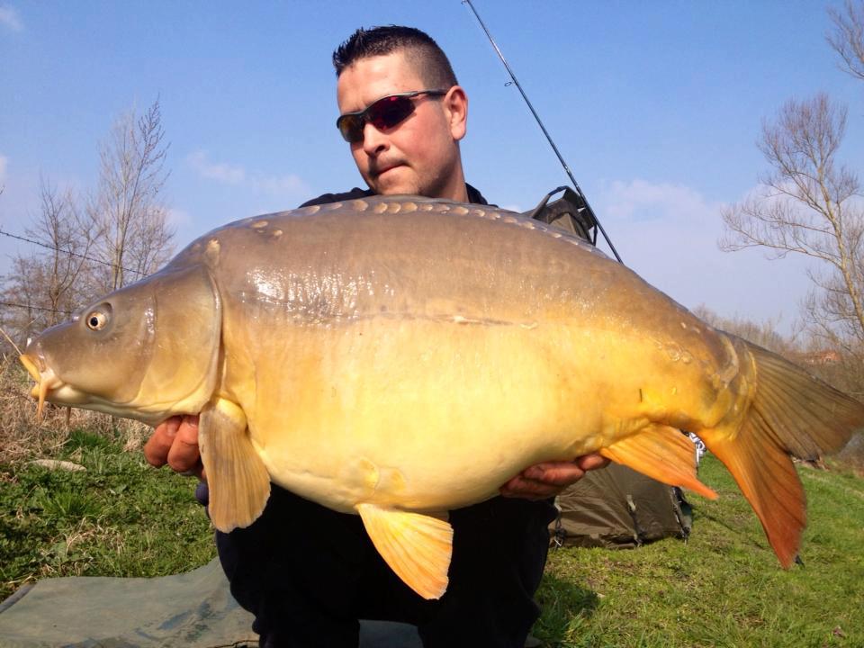 Maxim, reprsentant das la Loire  la YELLOW Fruit 14mm + pop-up !