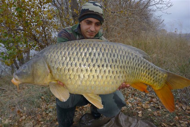 FANTASM Boilies 20mm