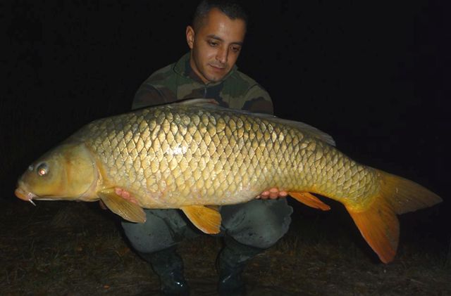 FANTASM Boilies 20mm