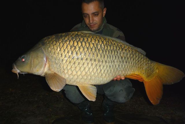 FANTASM Boilies 20mm