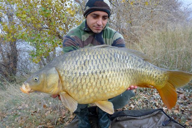 FANTASM Boilies 20mm