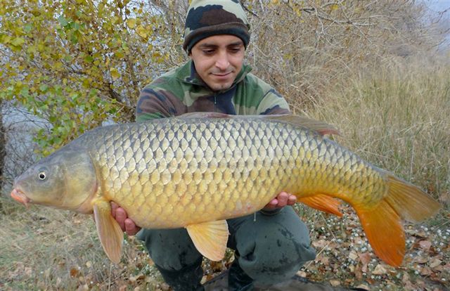 FANTASM Boilies 20mm