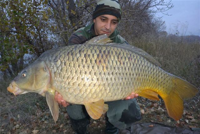 FANTASM Boilies 20mm