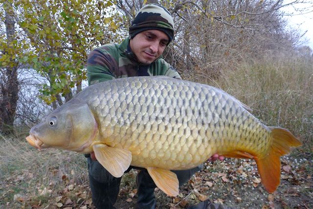 FANTASM Boilies 20mm