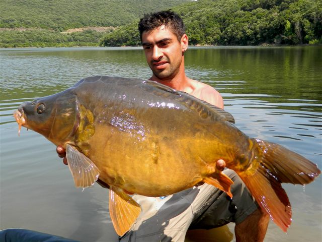 Remy  la YELLOW Fruit en lac de barrage !