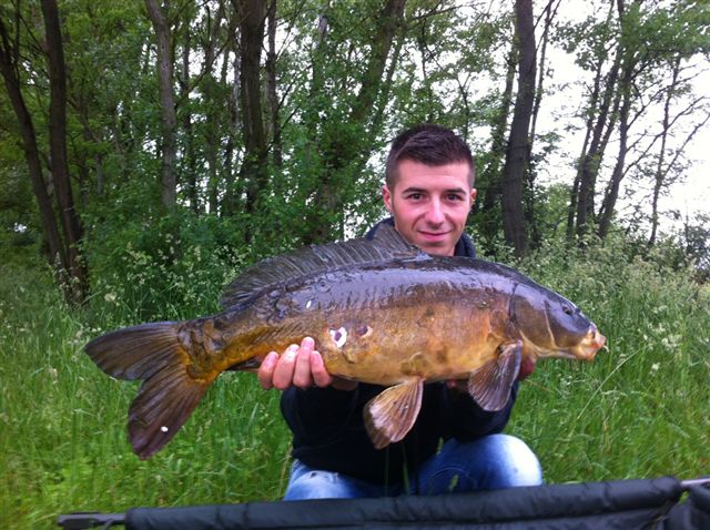 Pcghe rapide  la YELLOW Fruit pour Yoann !