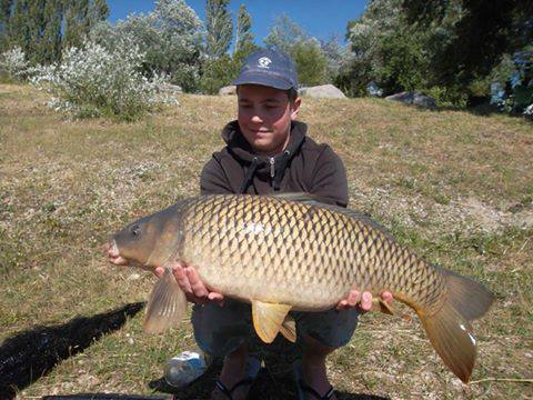 SiLURiS ONE Boilies 20mm 