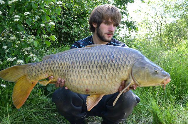 Sbastien en gravire aux dumbles WHITE M&C !