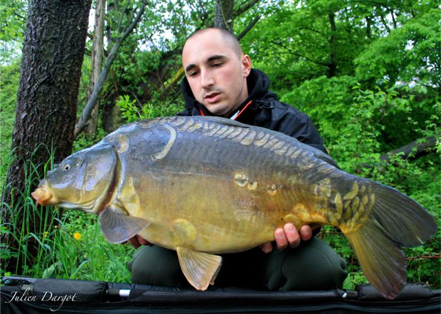 Julien aux Dumbles WHITE M&C !