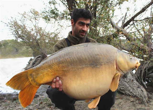 Remy cartonne  la LIVER ONE !