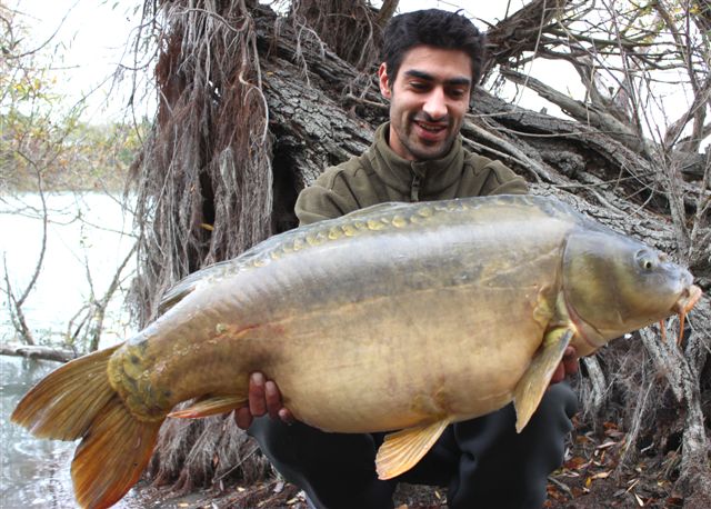 Remy cartonne  la LIVER ONE !