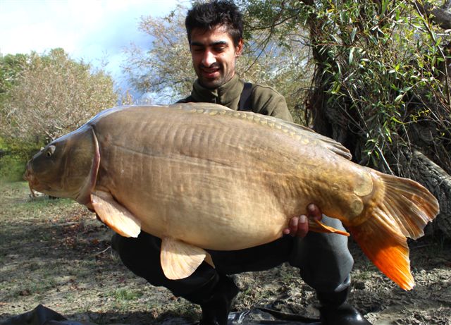 Remy cartonne  la LIVER ONE !