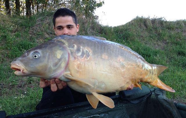 Romain  la WHITE M&C + ReadyCorn !