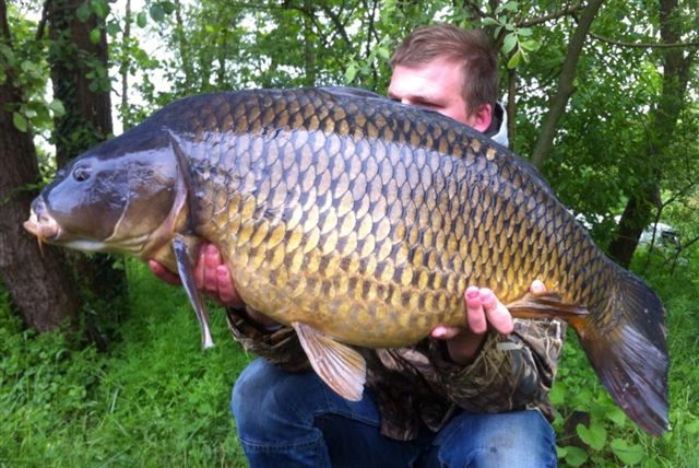 Romain  la CAROTTA Boilies !