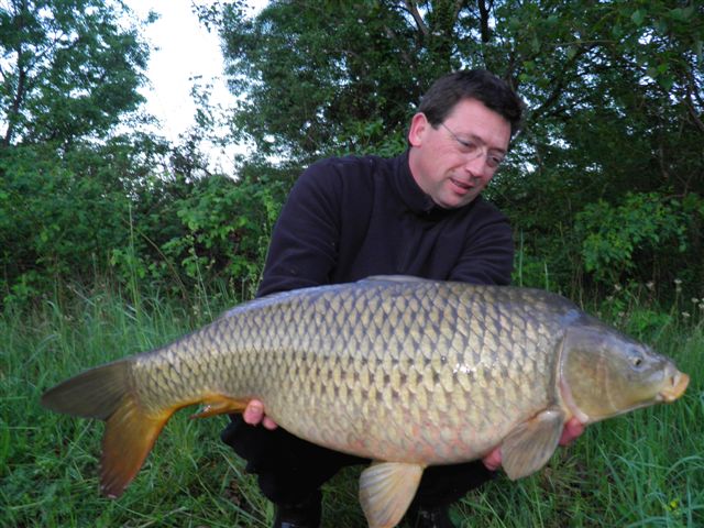 SiLURiS ONE Boilies 24mm