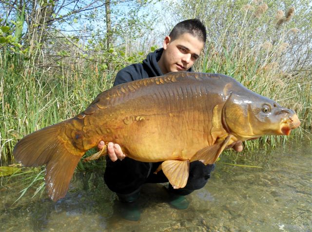 Romain en ReadyCorn