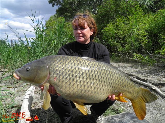 Nicky et une bouillette en test