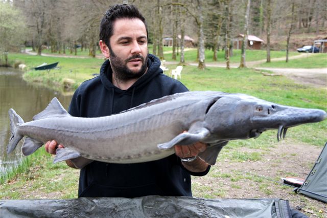 Romain  la FANTASM !