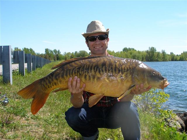 Fullys canadiennes de 12+