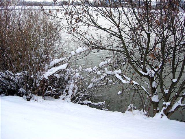 5 fois de la neige sur Lyon