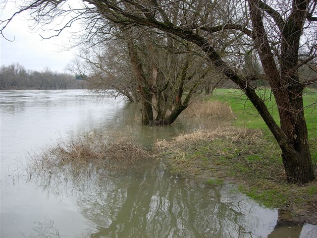 Le Rhône en crue presque tout le temps