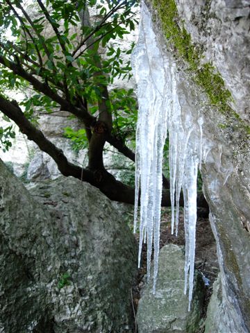 -8°c, à plusieurs reprises