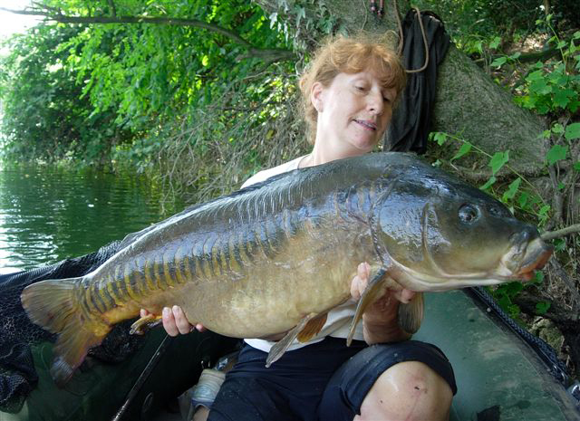 une linéaire de 14kg pour 96cm